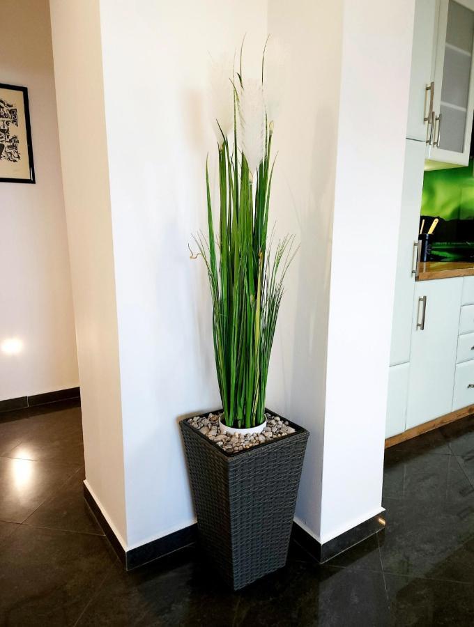 Luxury Apartment Aurora - Cod 0409 Opatija Eksteriør billede